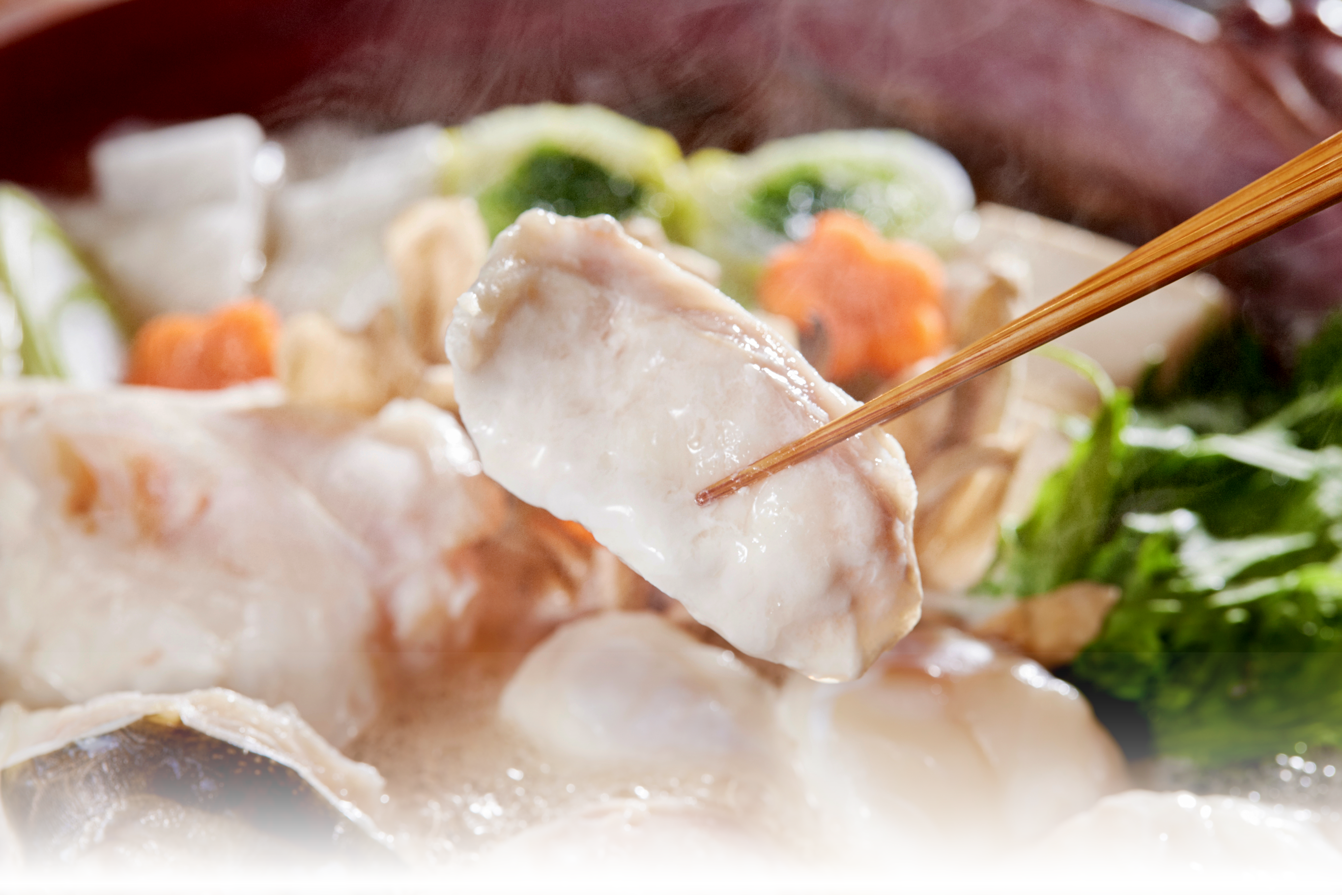 ふぐ料理イメージ